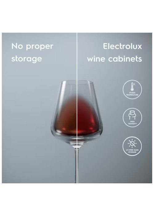Холодильник Electrolux EWUS020B5B