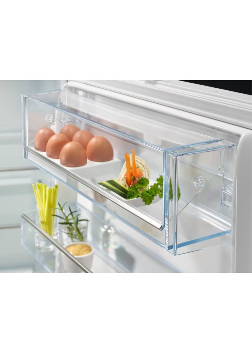 Холодильник з морозильною камерою Electrolux RNT6TE19S