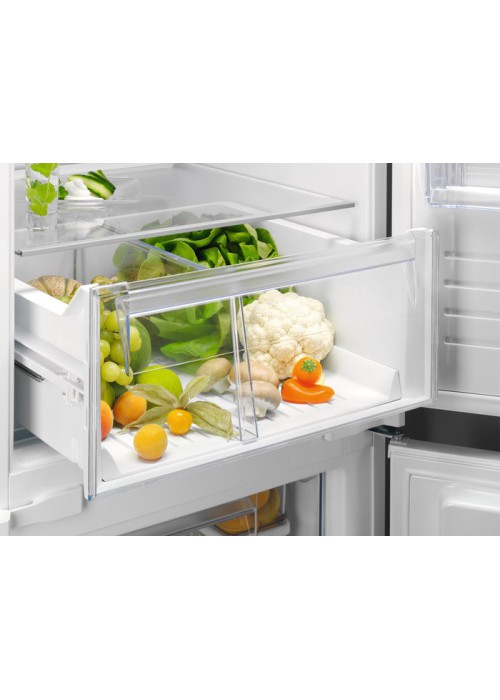 Холодильник з морозильною камерою Electrolux RNT6TE19S