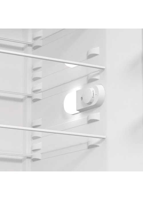 Холодильник Gorenje R619EEW5