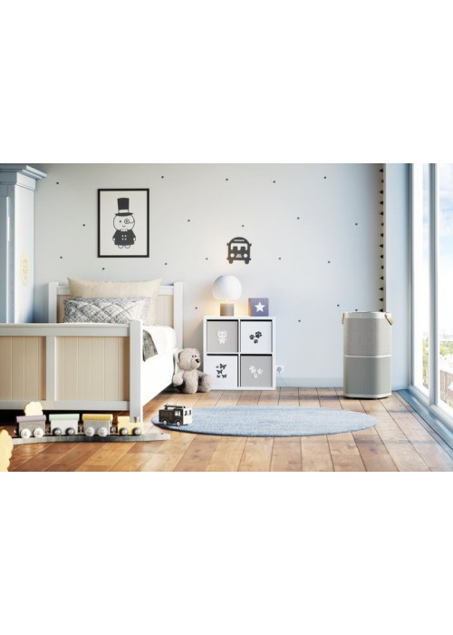 Очисник повітря Electrolux PA91-404GY
