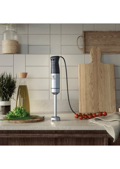 Блендер занурювальний ELECTROLUX E5HB1-6SS