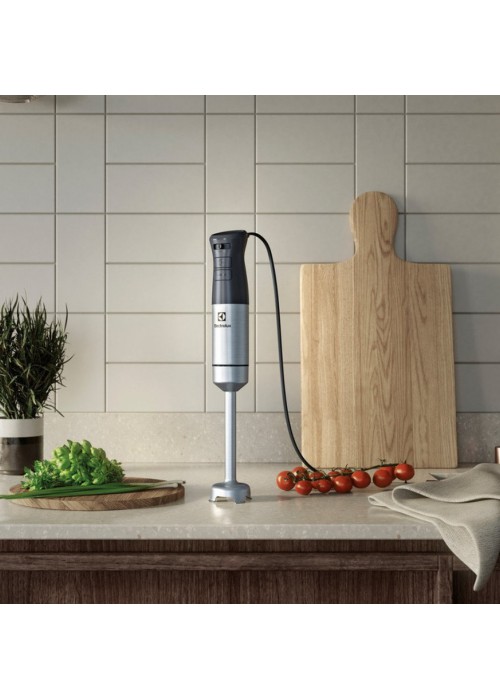 Блендер занурювальний ELECTROLUX E5HB1-6SS