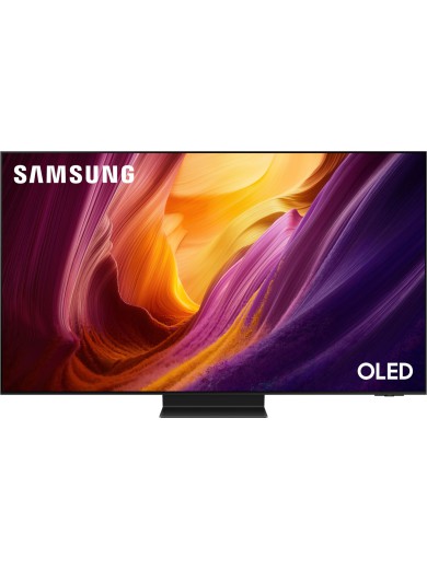 Телевізор LED Samsung QE65S95HFUXUA