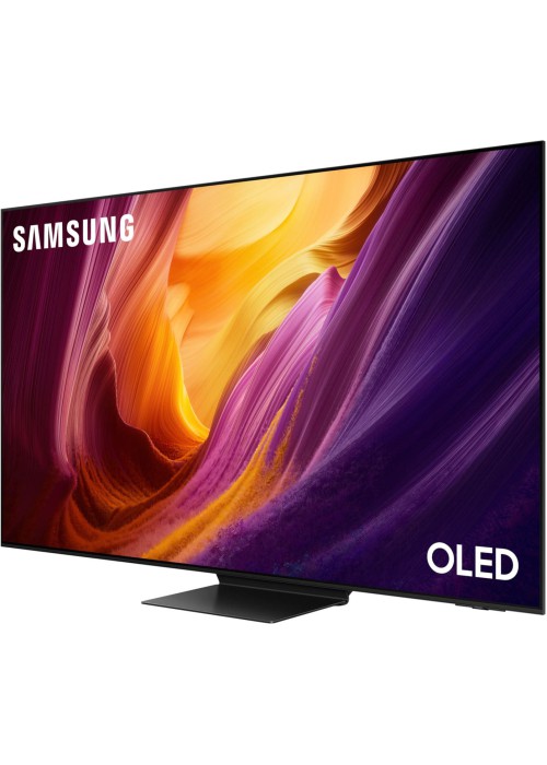 Телевізор LED Samsung QE65S95HFUXUA