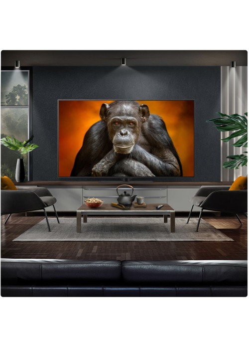 Світлодіодний телевізор LG OLED55G54LW