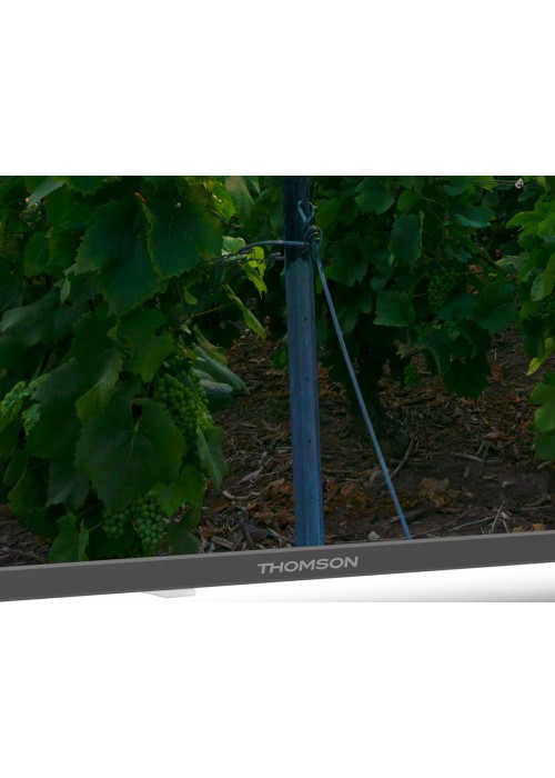Телевізор Thomson Android TV 55