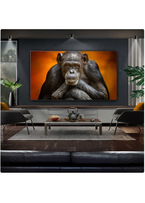 Світлодіодний телевізор LG OLED77G54LW