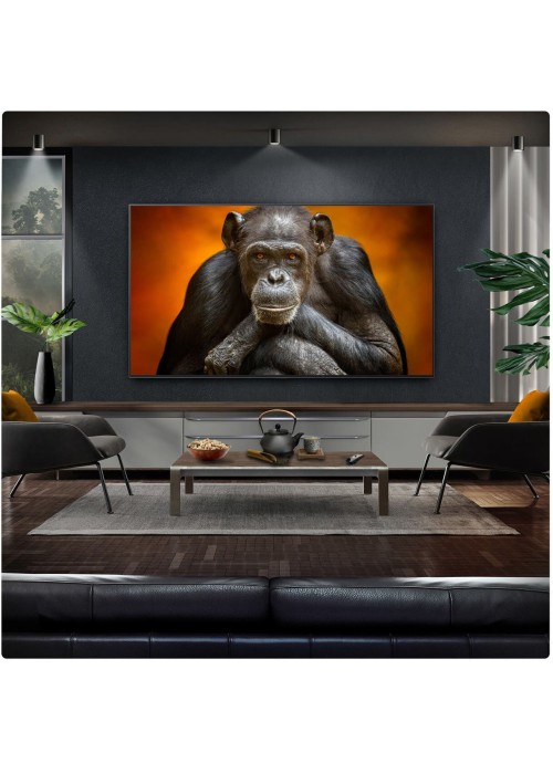 Світлодіодний телевізор LG OLED65G54LW