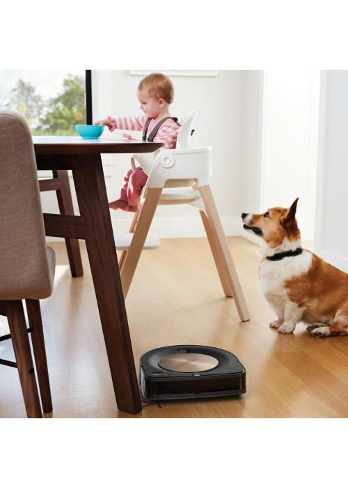 Пилосос iRobot Roomba S9+ (s955840)