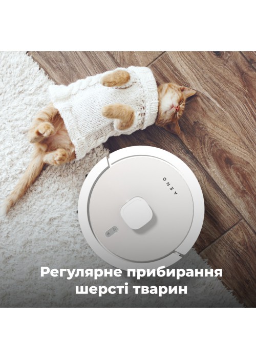 Пилосос AENO RC4S