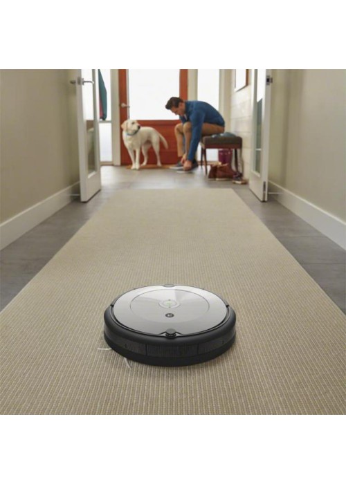 Пилосос iRobot Roomba 698 (R698040)