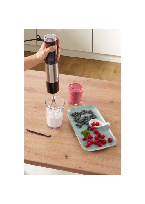 Блендер Gorenje HBX1000EB