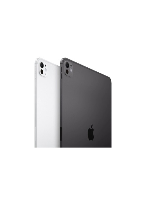 Планшет Apple iPad Pro 13