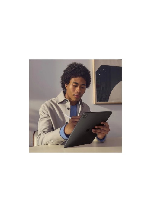 Планшет Apple iPad Pro 13