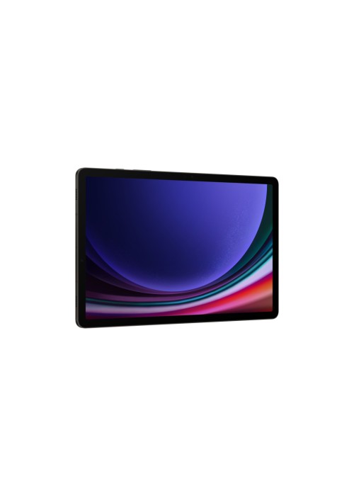 Планшет Samsung Galaxy Tab S9 WiFi 8GB/128GB Graphite (SM-X710NZAASEK)