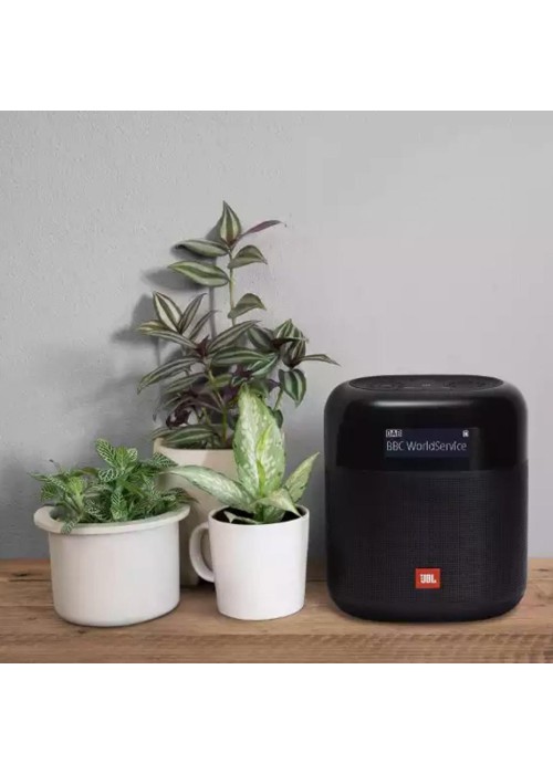 Акустична система JBL Tuner XL Black (JBLTUNERXLBLKEU)