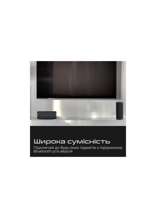 Акустична система HiFuture Ripple Black (ripple.black.)