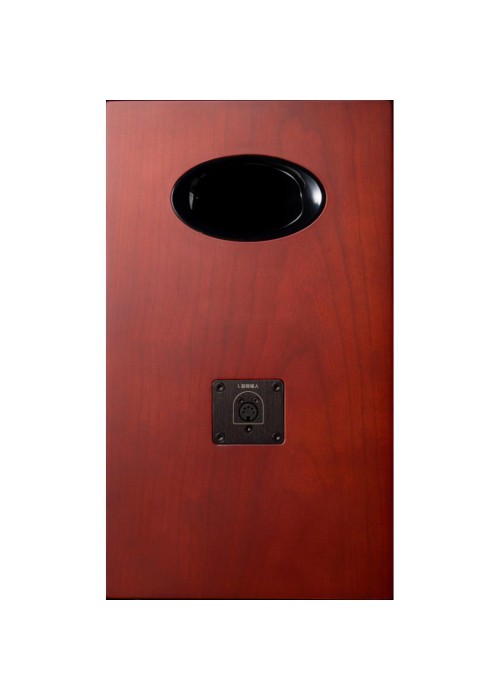 Акустична система Edifier AirPulse A300
