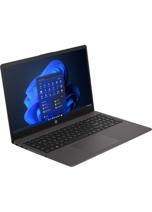 Ноутбук HP 255R G10 (D0DP6AT)