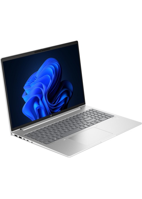 Ноутбук HP Probook 465 G11 (A37QVET)