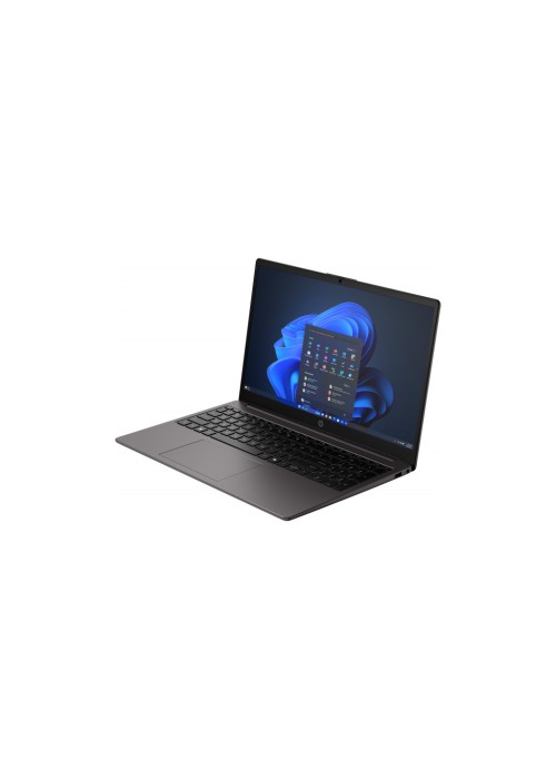 Ноутбук HP 255R G10 (D09G9AT)