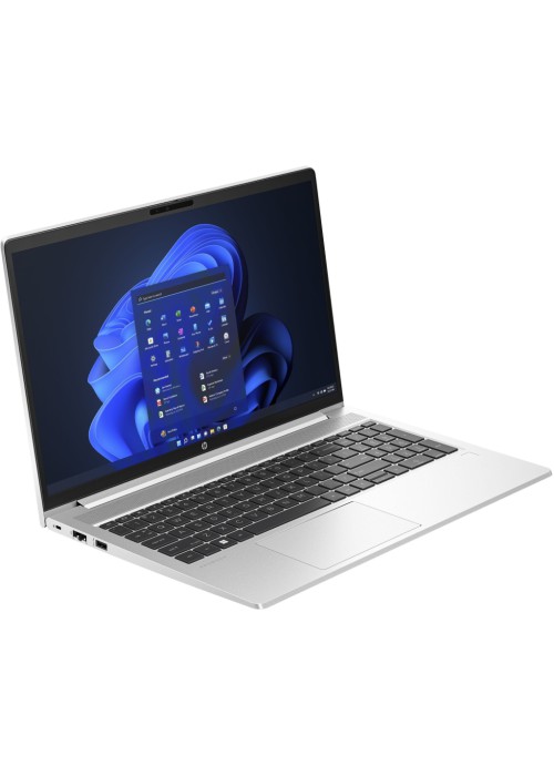 Ноутбук HP ProBook 450 G10 (AL0D6AT)