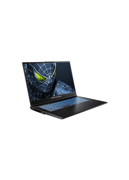 Ноутбук Dream Machines RG5050-17 (RG5050-17UA25)