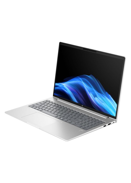 Ноутбук HP ProBook 4 G1a (D4VG3ET)