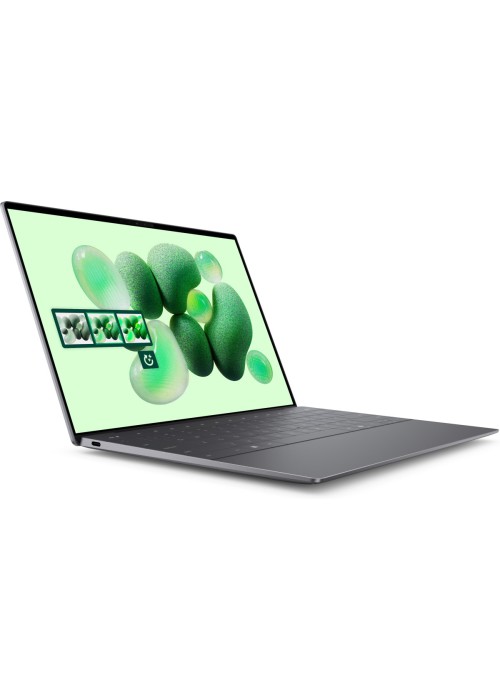 Ноутбук Dell XPS 13 9345 (usexchbts9345hgll)