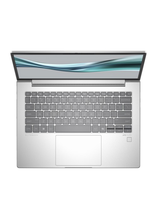 Ноутбук HP EliteBook 645 G11 (8Z3N3AV_V1)