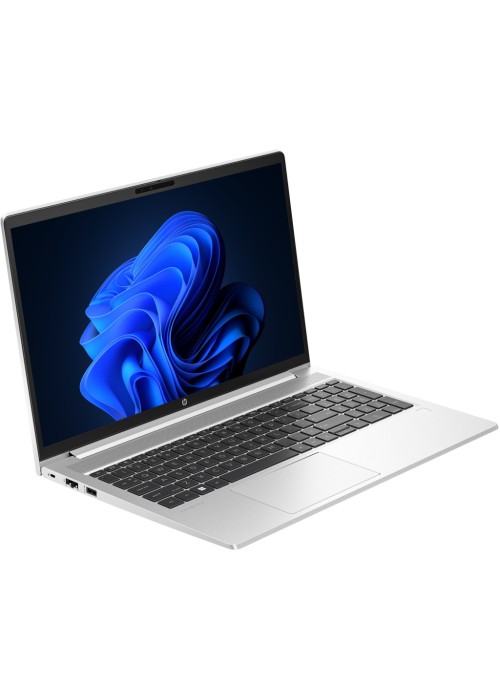 Ноутбук HP ProBook 450 G10 (AD1G0ET)