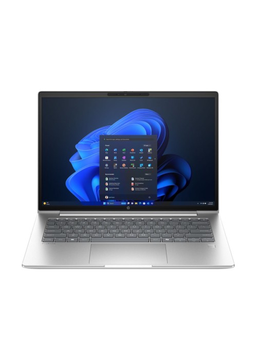 Ноутбук HP ProBook 4 G1a (D4VG1ET)