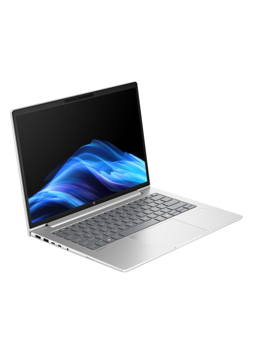 Ноутбук HP ProBook 4 G1a (D4VG1ET)