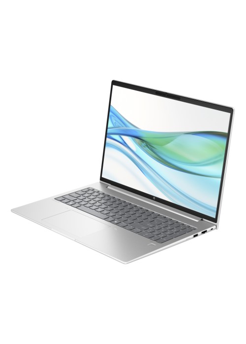Ноутбук HP ProBook 465 G11 (901H4AV_V3)