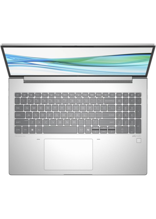 Ноутбук HP ProBook 465 G11 (901H4AV_V3)