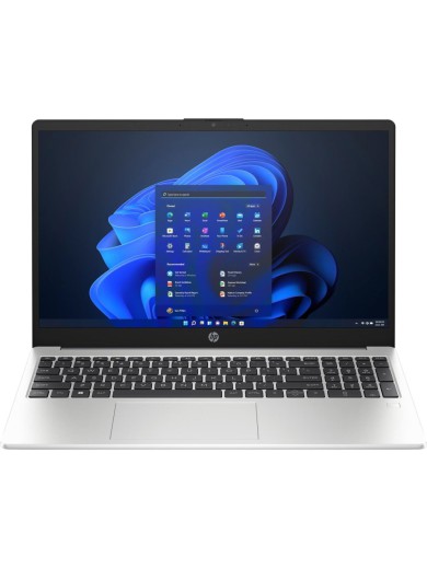 Ноутбук HP 250 G10 (8D4L3ES)