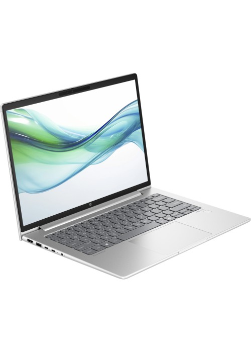 Ноутбук HP ProBook 445 G11 (8Z9P4AV_V5)