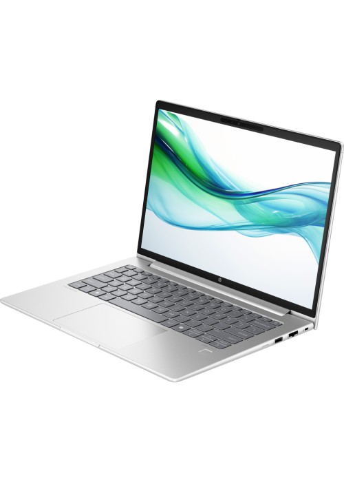 Ноутбук HP ProBook 445 G11 (8Z9P4AV_V5)