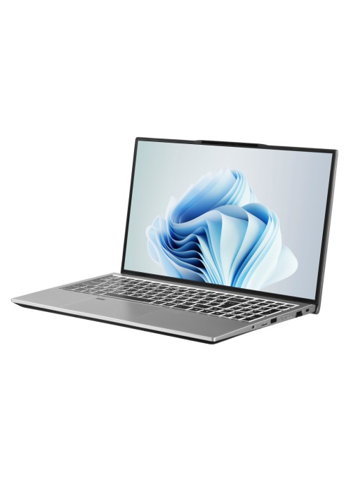 Ноутбук 2E Complex Pro 15 (NS51PU-15UA51)