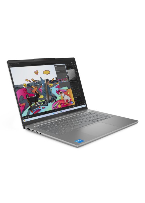 Ноутбук Lenovo IdeaPad Slim 5 14IMH10 (83V6004LRA)