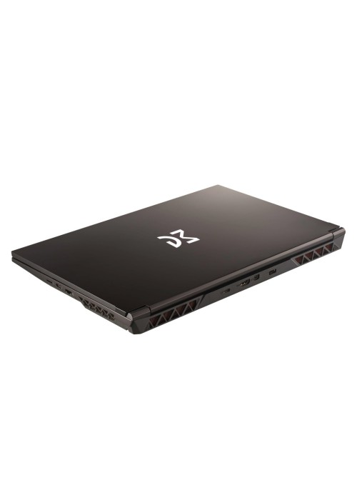 Ноутбук Dream Machines RG2050-15 (RG2050-15UA21)