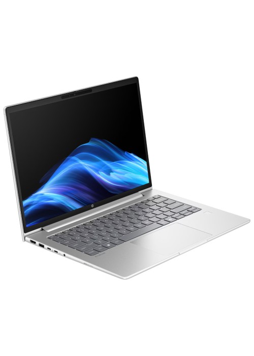 Ноутбук HP ProBook 4 G1i 14 (D0VG6ET)