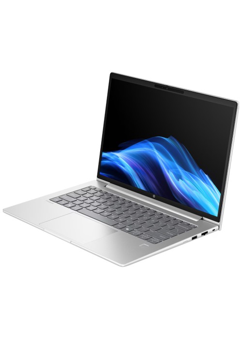 Ноутбук HP ProBook 4 G1i 14 (D0VG6ET)
