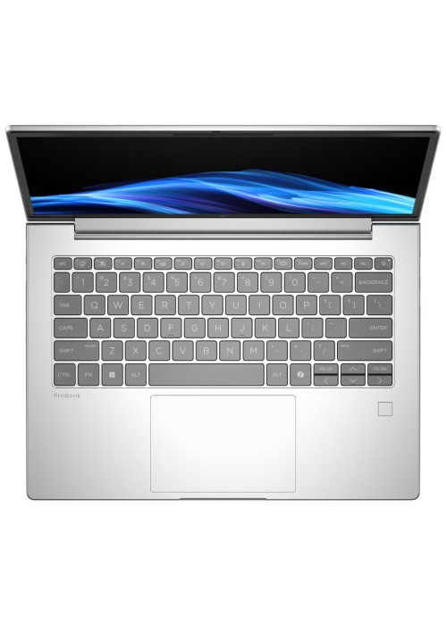 Ноутбук HP ProBook 4 G1i 14 (D0VG6ET)