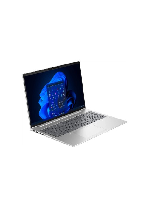 Ноутбук HP EliteBook 6 G1a (BD5P5AW)