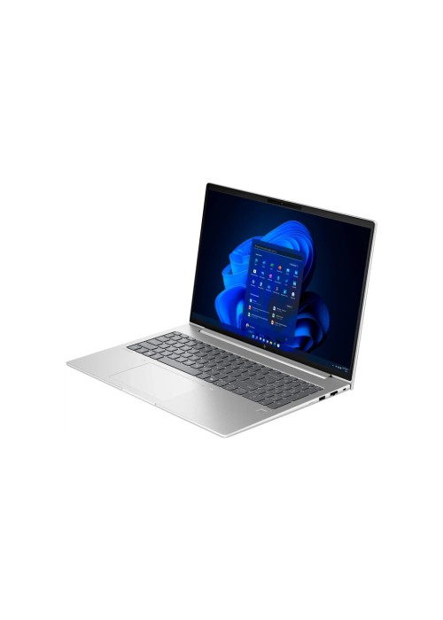 Ноутбук HP EliteBook 6 G1a (BD5P5AW)