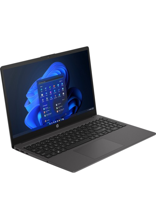 Ноутбук HP 250 G10 (817V9EA)