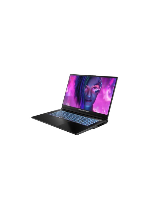 Ноутбук Dream Machines RG5060-17 (RG5060-17UA29)