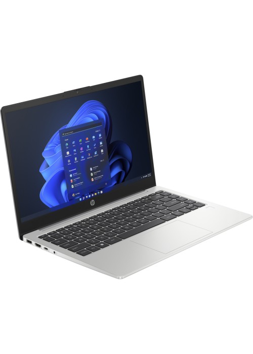 Ноутбук HP 245 G10 (A3DU5ES)